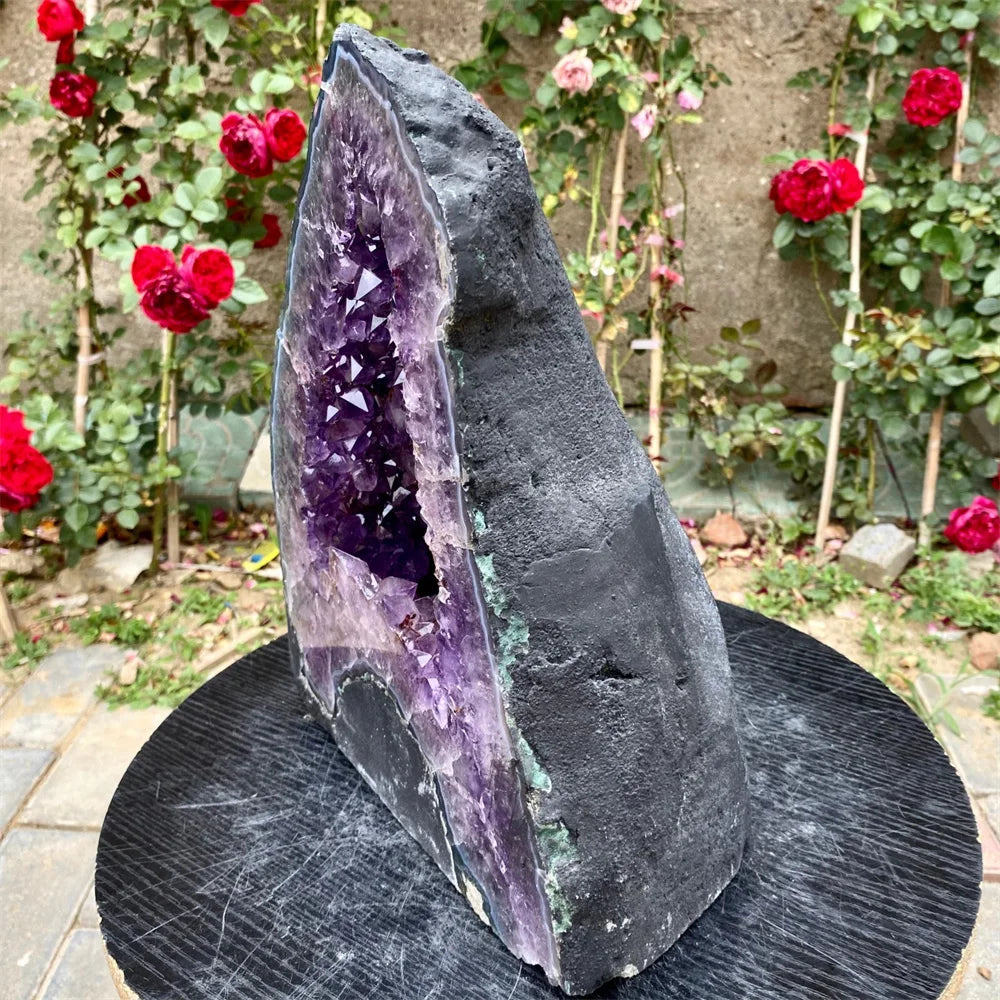 A large raw amethyst geode specimen with a dark gray to black rough outer layer and a vivid purple crystalline interior, displayed on a round black pedestal in front of a garden with red roses.