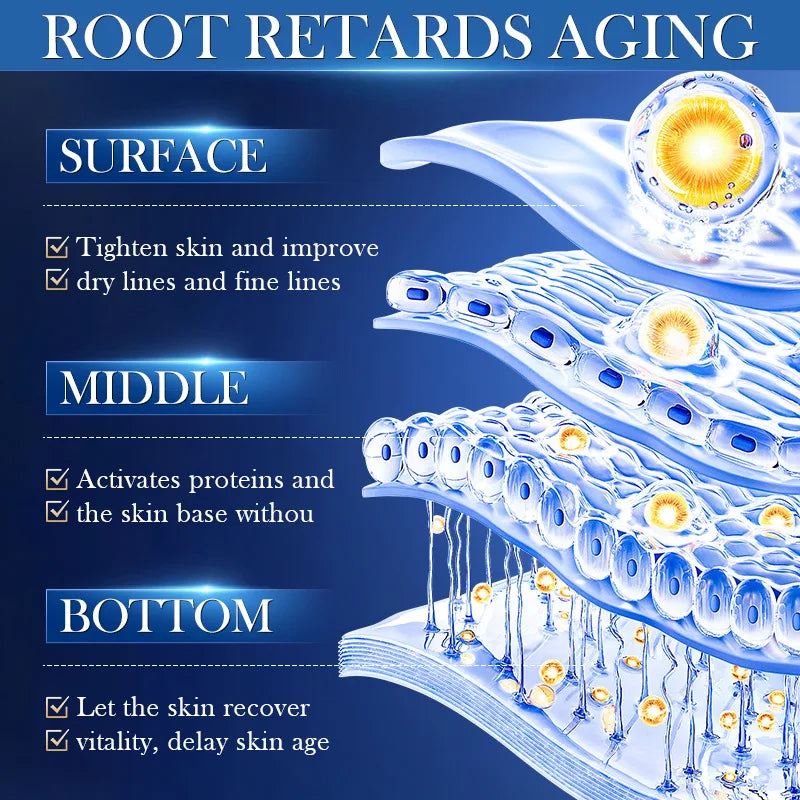 Diagram of skin layers with text about anti-aging benefits on a blue background