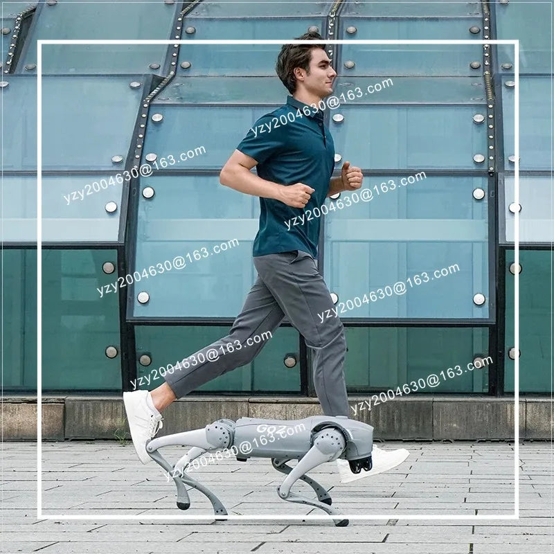 Unitree Go2 voice AI robot dog Go2 artificial intelligence electronic dog companion robot, quadruped technology dog - Teglex