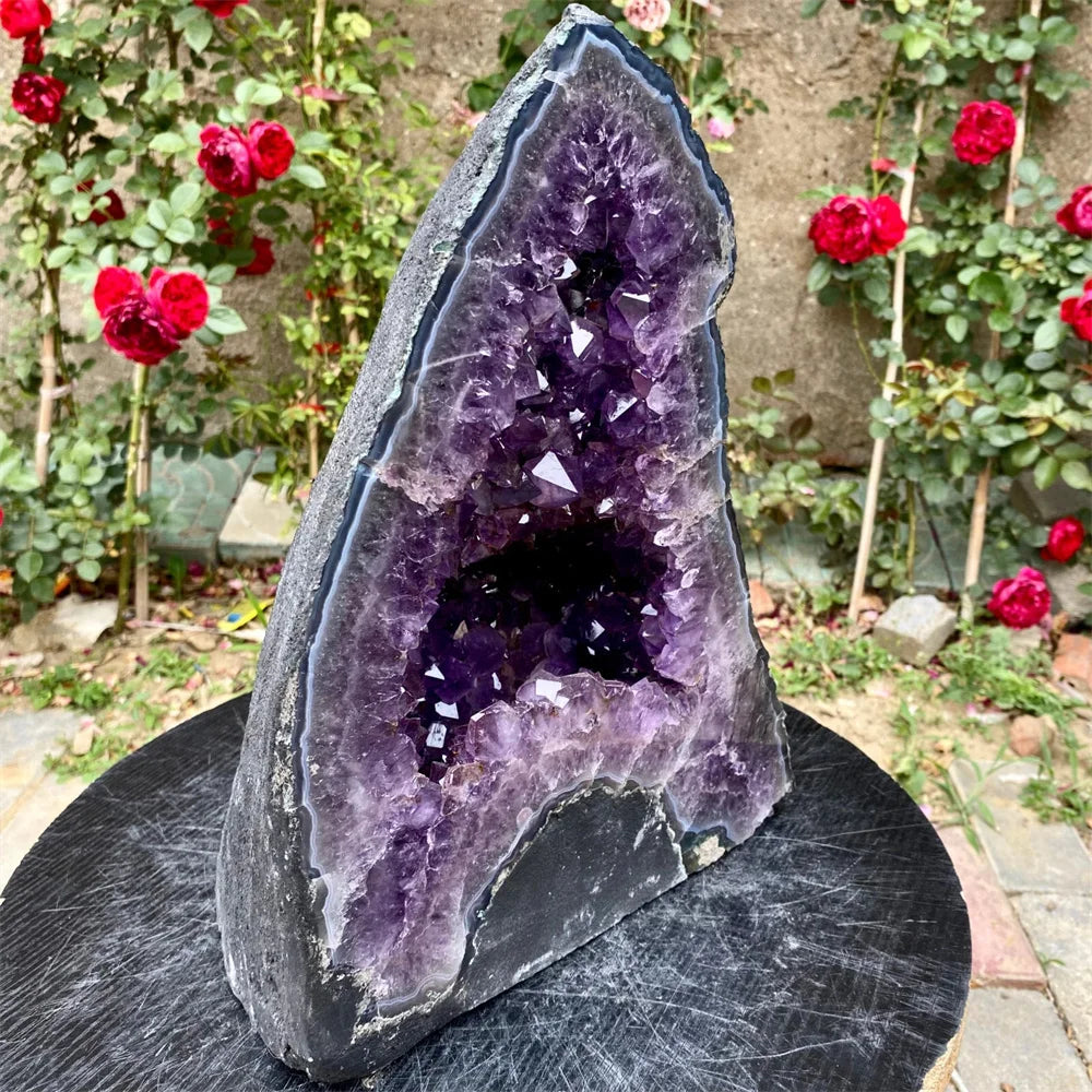 A large natural amethyst geode specimen with a dark gray outer matrix, displayed upright on a black round pedestal in front of a garden background with red roses.