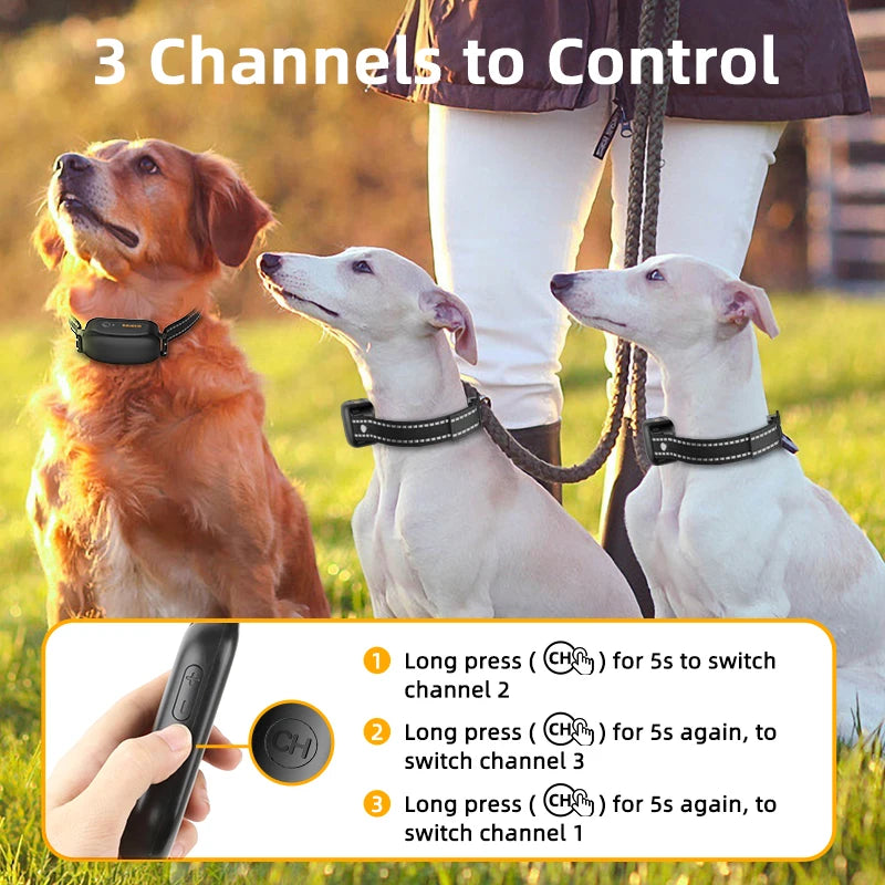 IPX7 Rechargeable Dog Training Shock Collar Remote