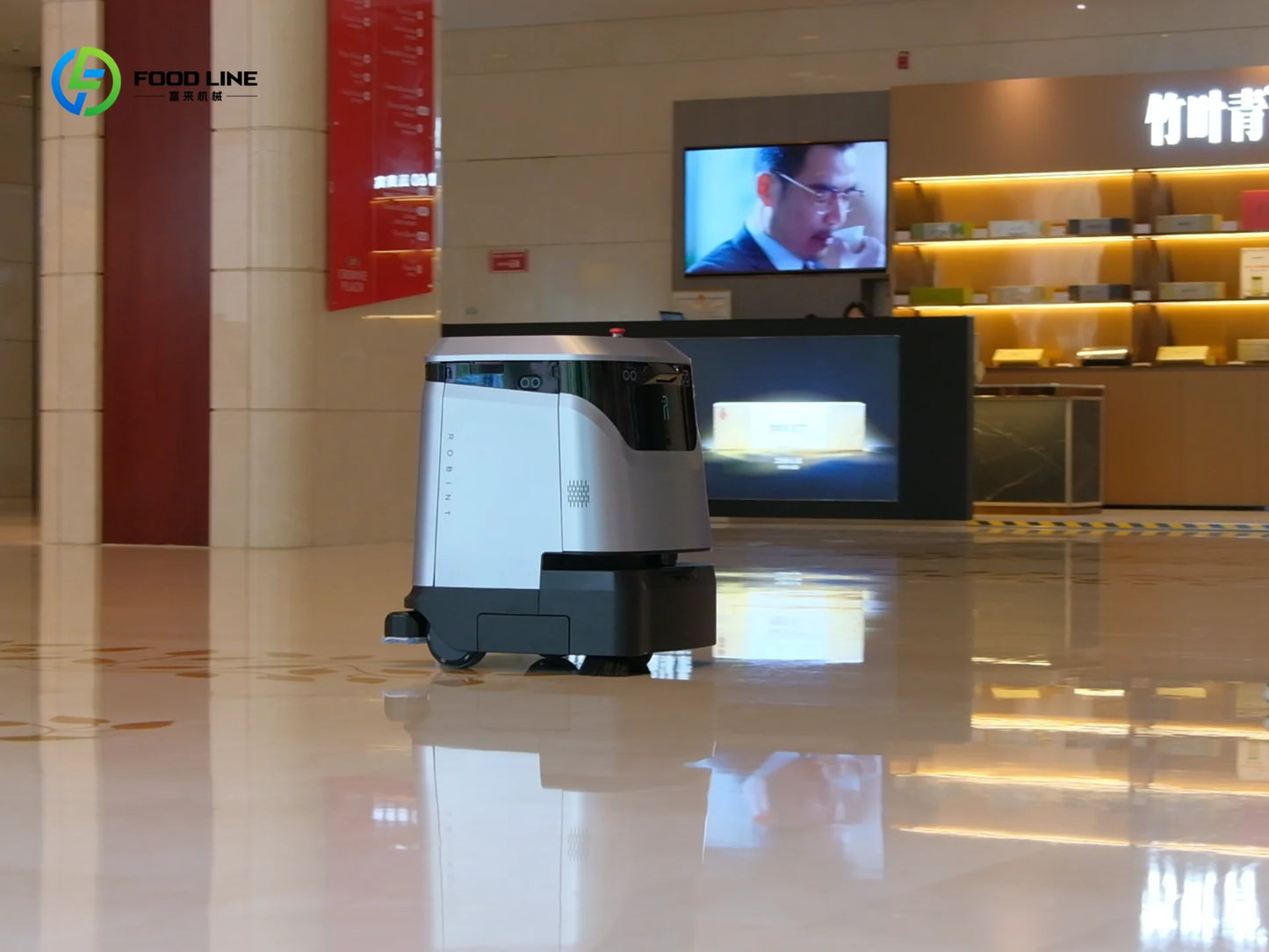 Manufacturer-Sold Smart Commercial Cleaning Robot Self-Cleaning Vacuum Cleaner with Dust Removal and Floor Cleaning Functions - Teglex