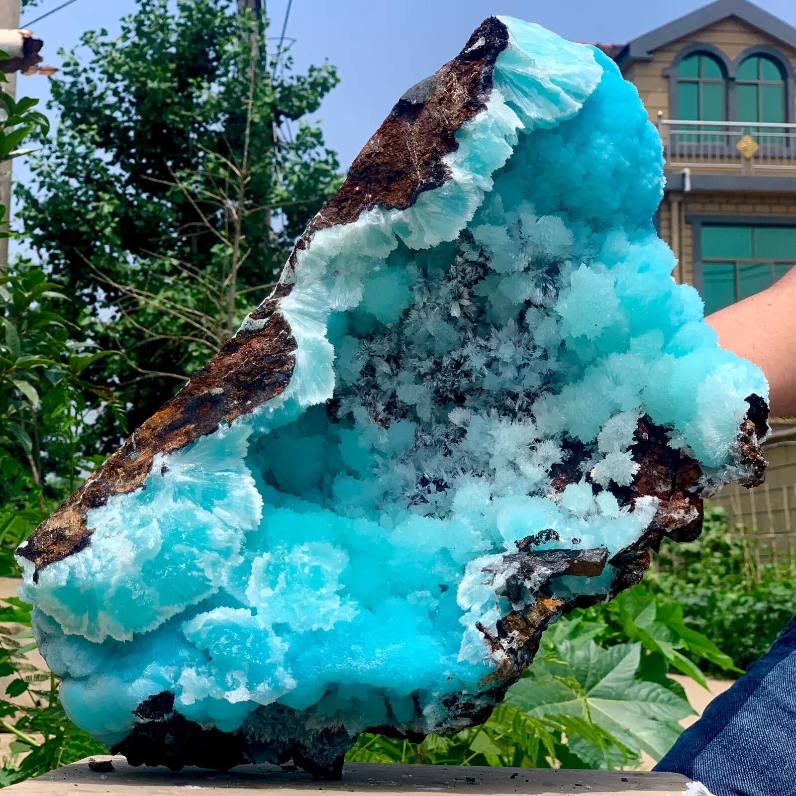 Large blue crystal rock held by a person outdoors with greenery and a building in the background