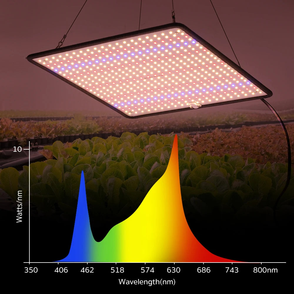 40W Full Spectrum LED Grow Light for Indoor Plants