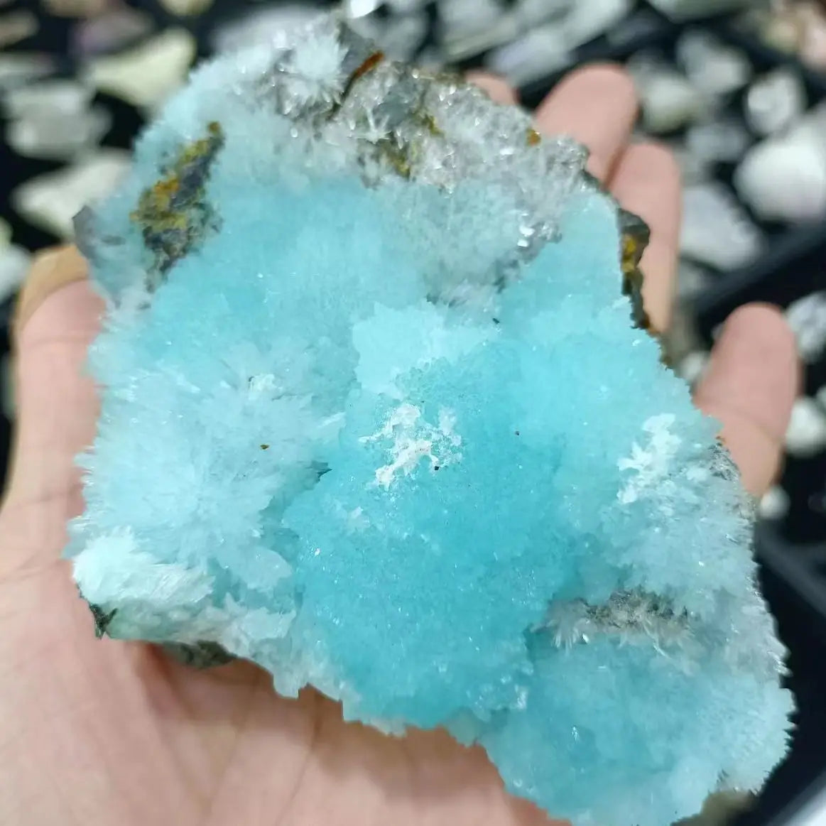 Turquoise crystal held in a hand with a blurred natural background