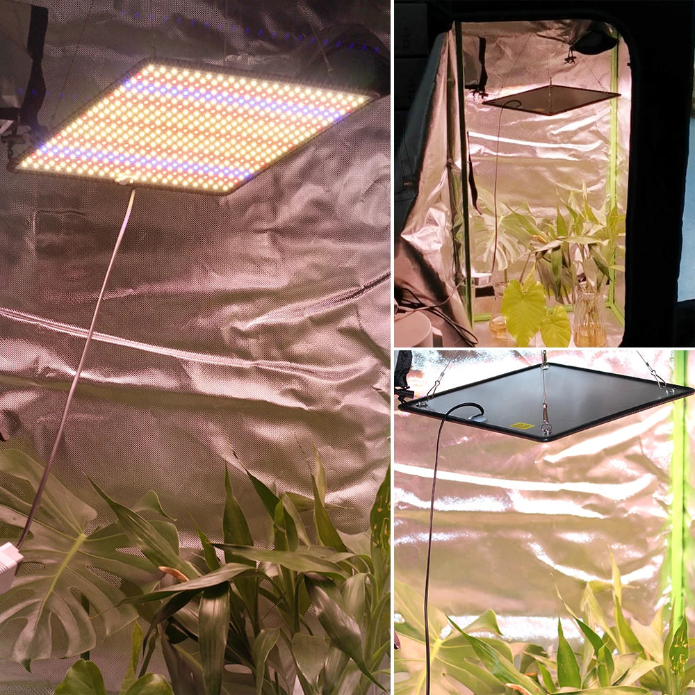 40W Full Spectrum LED Grow Light for Indoor Plants